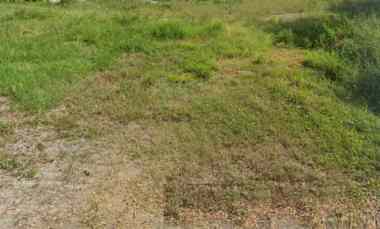 Kavling Citraland Waterfront Cocok untuk Kost 3 menit dari Univ Ciputra