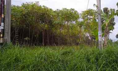 Dijual Tanah Cocok untuk Investasi dll