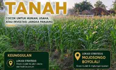 Dijual Tanah, Cocok untuk Investasi Jangka Panjang