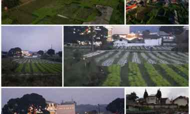Dijual Tanah Cocok untuk Usaha Loakasi Lembang Bandung