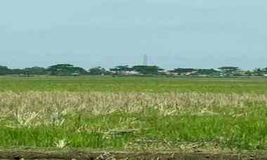 Tanah untuk Industri dan Pergudangan dekat Pelabuhan Patimban Subang