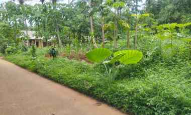 Dijual Tanah Curug Serang