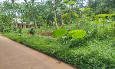 Dijual Tanah Tinggar Curug Serang