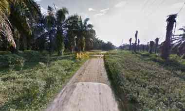 Jual Kebun Sawit Daerah Gohor Lama /-13 km jl. Stabat - Banda Aceh