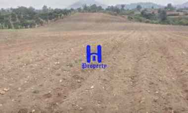 Dijual Tanah di Daerah Karo Jalan Kebun Bunga - Dolat Rayat