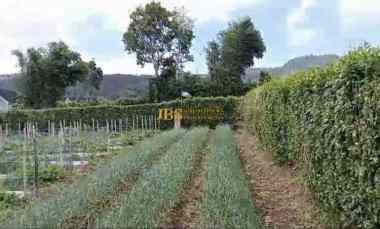 Dijual Tanah Daerah Karo Jalan Kebun Bunga - Dolat Rayat