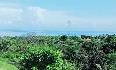 Dijual Tanah Daerah Lovina Sentral