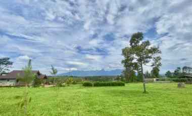 Tanah Dijual di Darangdan