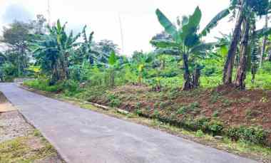 dijual tanah datar 1300m kerjo karanganyar utara