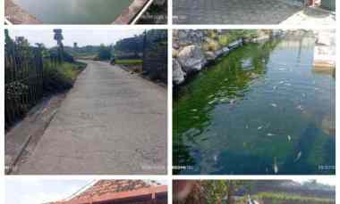 Tanah Kolam Terdapat Sumber Air 1800m2 Ponggok Klaten 2,2 M Nego