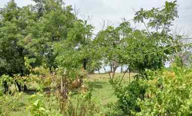 Dijual Tanah dengan Kontur Tinggi View Laut Lepas