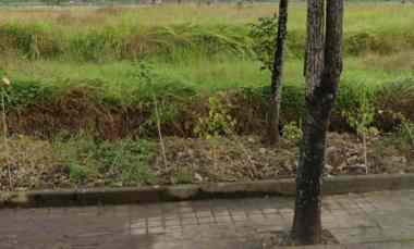 dijual tanah denpasar gilimanuk lukluk