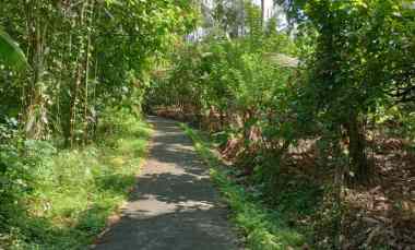 Dijual Tanah Kebun Murah Los Sungai dengan View yang Asri