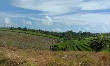Tanah Dijual di Desa antap, kec selemadeg Tabanan bali