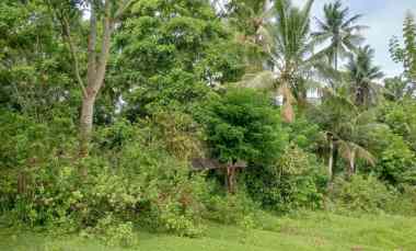 ForSale Tanah di Pinggir Jalan Utama Provinsi di Desa Antap Tbn