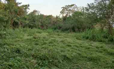 dijual tanah desa antap kec selemadeg