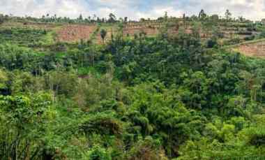 Dijual Lahan Premium di Hook Jalan Aspal View Gunung Super Bagus