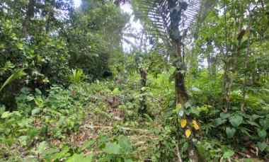 dijual tanah desa antosari kec