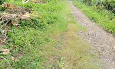 Tanah Dijual di Desa bajra, kec selemadeg, kab Tabanan bali