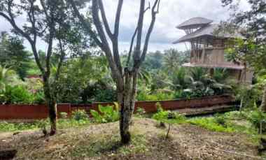 Dijual Cepat - Tanah Cantik 1,59 Hektar di Selemadeg, Tabanan Bali