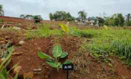 Jual Tanah Murah dekat Jalan Raya, dekat Rencana Tol dan Universitas