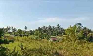Dijual Tanah dekat Kota Tabanan Murah Tempat Strategis di Kerambitan