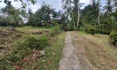 Dijual Tanah Perkebunan View Laut Lingkungan yang Tenang dan Asri