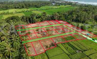 Tanah Dijual di Desa Beraban