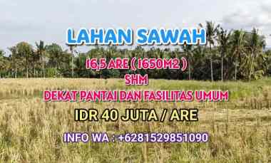 Lahan Sawah 16,5 are SHM dekat Pantai dan Fasilitas Umum di Tabanan