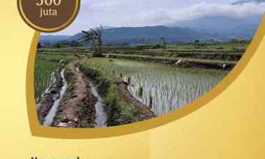 Tanah Murah, Tanah Luasan Besar Akses Mudah View Bukit Pinus