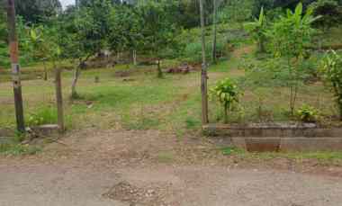 4000 m2 Tanah Kebun Strategis Pinggir Jalan Situ Ciburuy, Padalarang