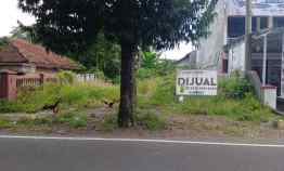 Tanah Dijual di Desa Dadapan Kec. Kabat Kab. Banyuwangi