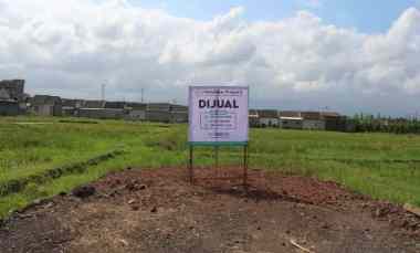 Tanah Dijual di Desa Gambiran, Kec. Gambiran, Kab. Banyuwangi