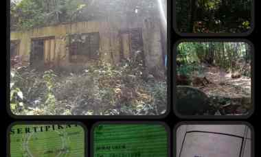 Tanah Pekarangan Dijual Murah 2355 Mt2 Karangpandan, Karanganyar, Jate