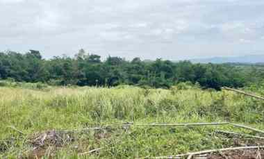 Jual Tanah 103 Hektar di Jasinga Bogor Cocok untuk Perumahan, Pabrik