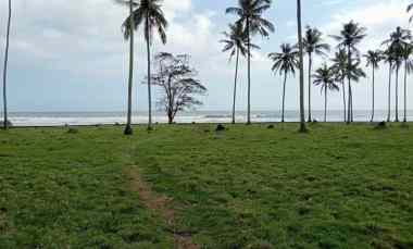 Tanah Dijual di Desa lalanglingah, kec selemadeg barat Tabanan bali