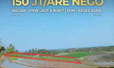 Dijual Tanah Sawah View Laut dan Perbukitan di Balian Beach