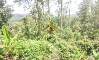 Dijual Tanah Daerah Karo di Desa Lau Riman, Kec. Tiga Panah