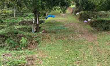 dijual tanah desa lemukih buleleng bali
