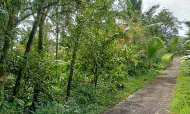 Dijual Lahan Tegalan View Sawah dengan Suasana Tenang dan Asri