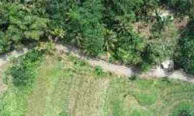 Dijual Cepat Tanah Sawah Harga Murah Masuk Rencana Tol Cigatas