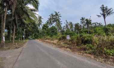 Tanah Dijual di Desa Pakistaji Kec. Kabat Kab. Banyuwangi