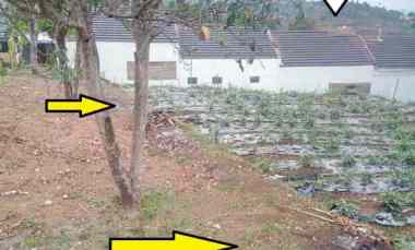 200 Tumbak Tanah Bisa Termin Satu Tahun di Samping Perumahan Cluster