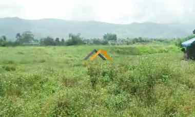 Jual Tanah Desa Persadanta Dsn Ujung Bandar Kec. Barusjahe - Karo