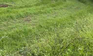 Tanah Dijual di Desa selemadeg, kec selemadeg Tabanan bali