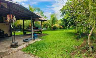 Dijual Tanah Kebun Murah Tempat Strategis dekat Jalan Utama Provinsi