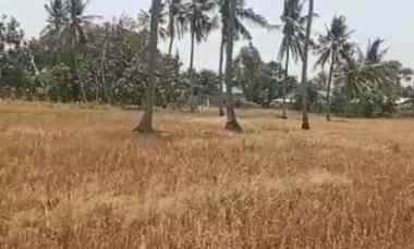 Dijual Tanah Cocok Investasi Lokasi Pinggir Jalan di Desa Sukatenang