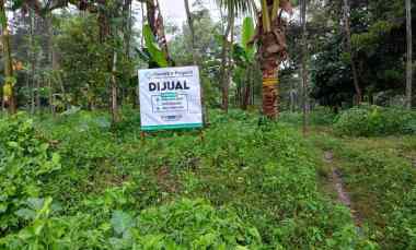 Tanah Dijual di Desa Taman Suruh, Kec. Glagah, Kab. Banyuwangi