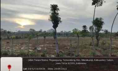 dijual tanah desa temandang kevamatan