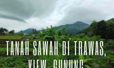 Tanah Dijual di Desa Trawas, Keamatan Trawas